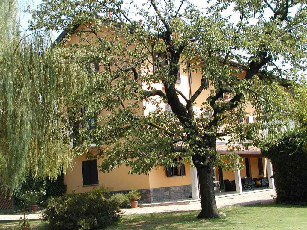 Ca' Dal Matt Hotel Borgo Ticino Eksteriør billede